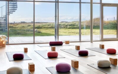 20.11.2026 – 22.11.2026 | Yoga-Resilienz-Retreat